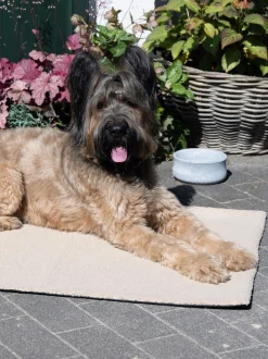 Trapunta per animali con fondo antiscivolo Teddy, varie misure