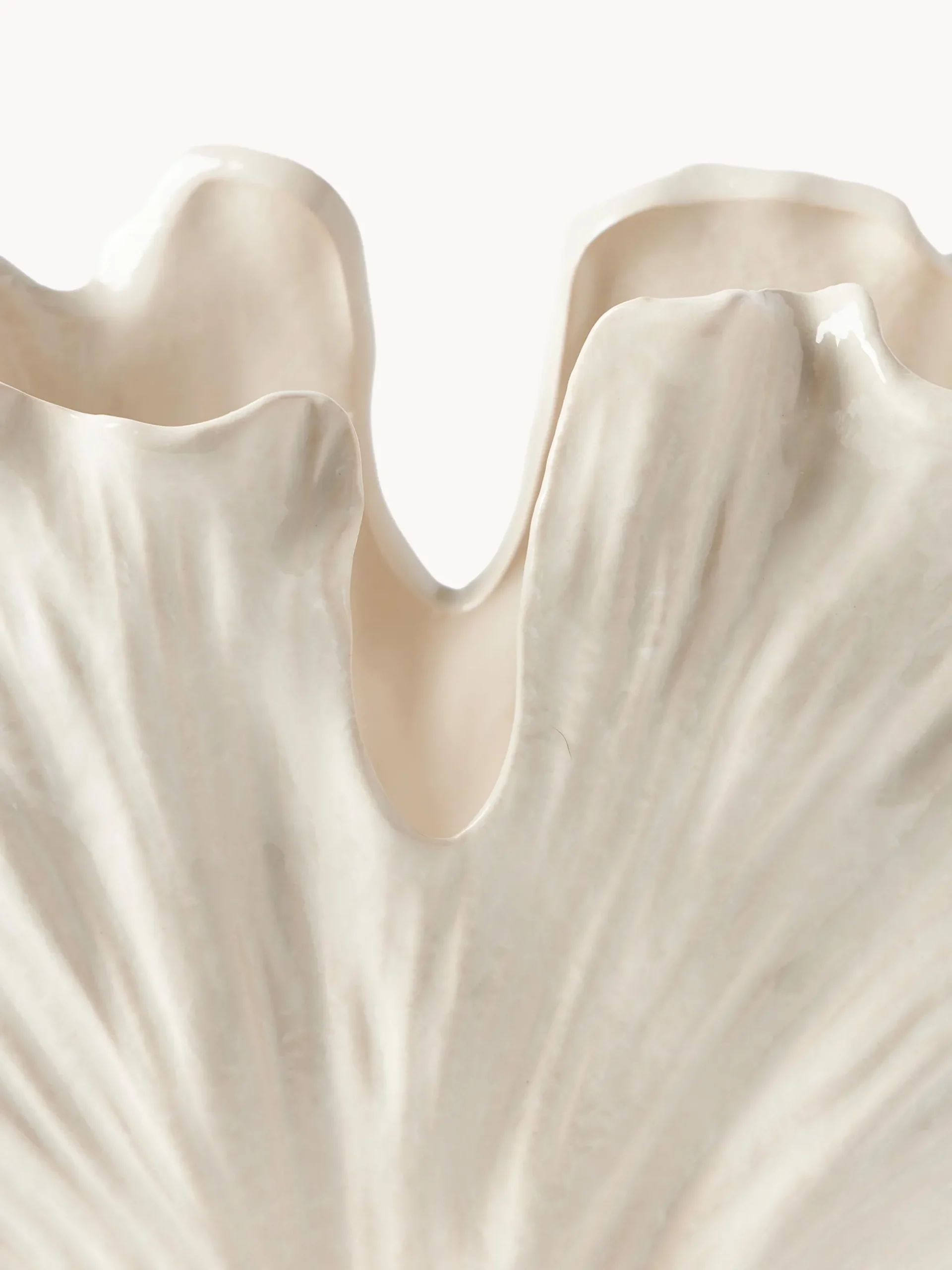 Vaso a forma di conchiglia Gingko, alt. 24 cm