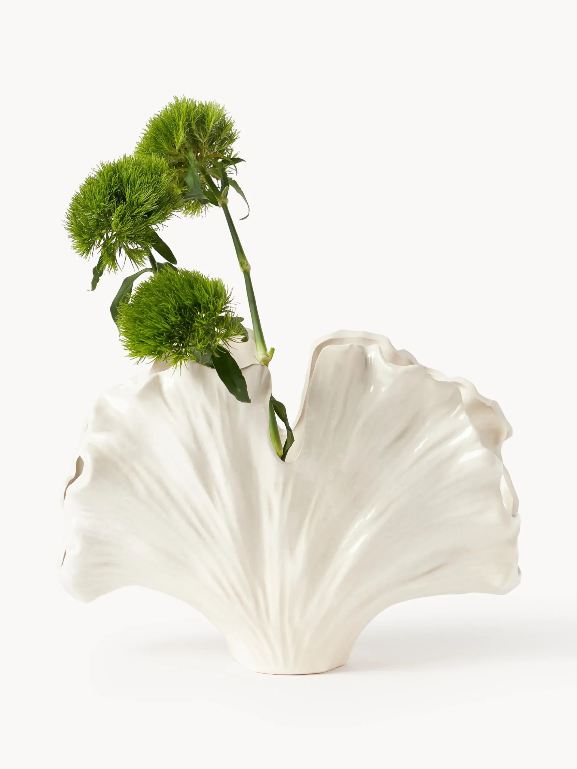 Vaso a forma di conchiglia Gingko, alt. 24 cm