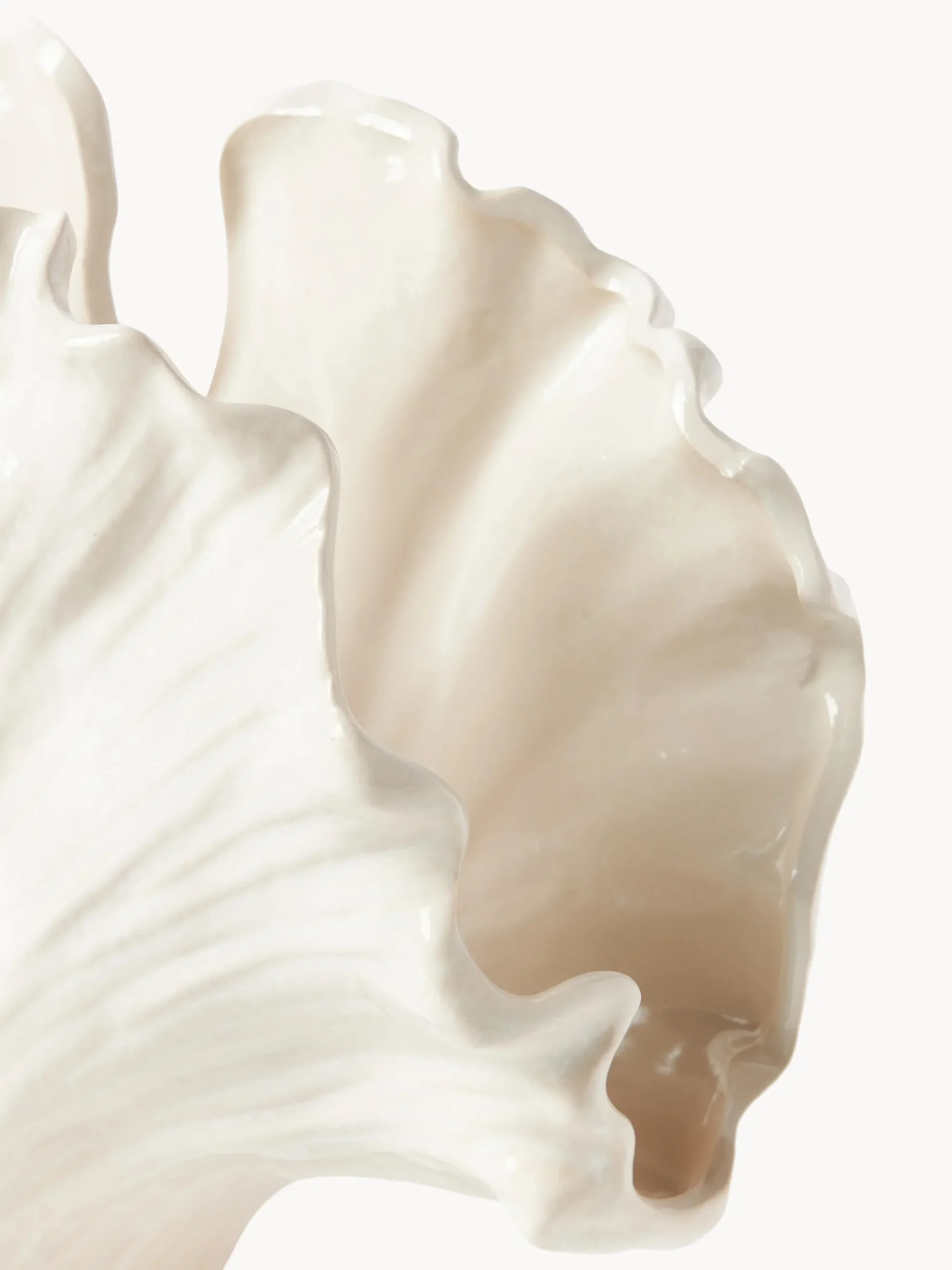 Vaso a forma di conchiglia Gingko, alt. 24 cm
