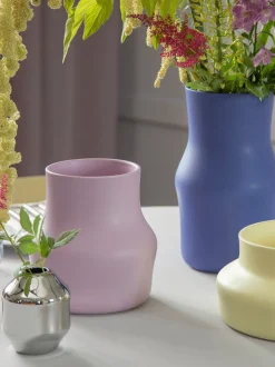 Vaso Dorotea