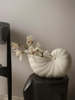 Vaso per fiori a forma di conchiglia Shell