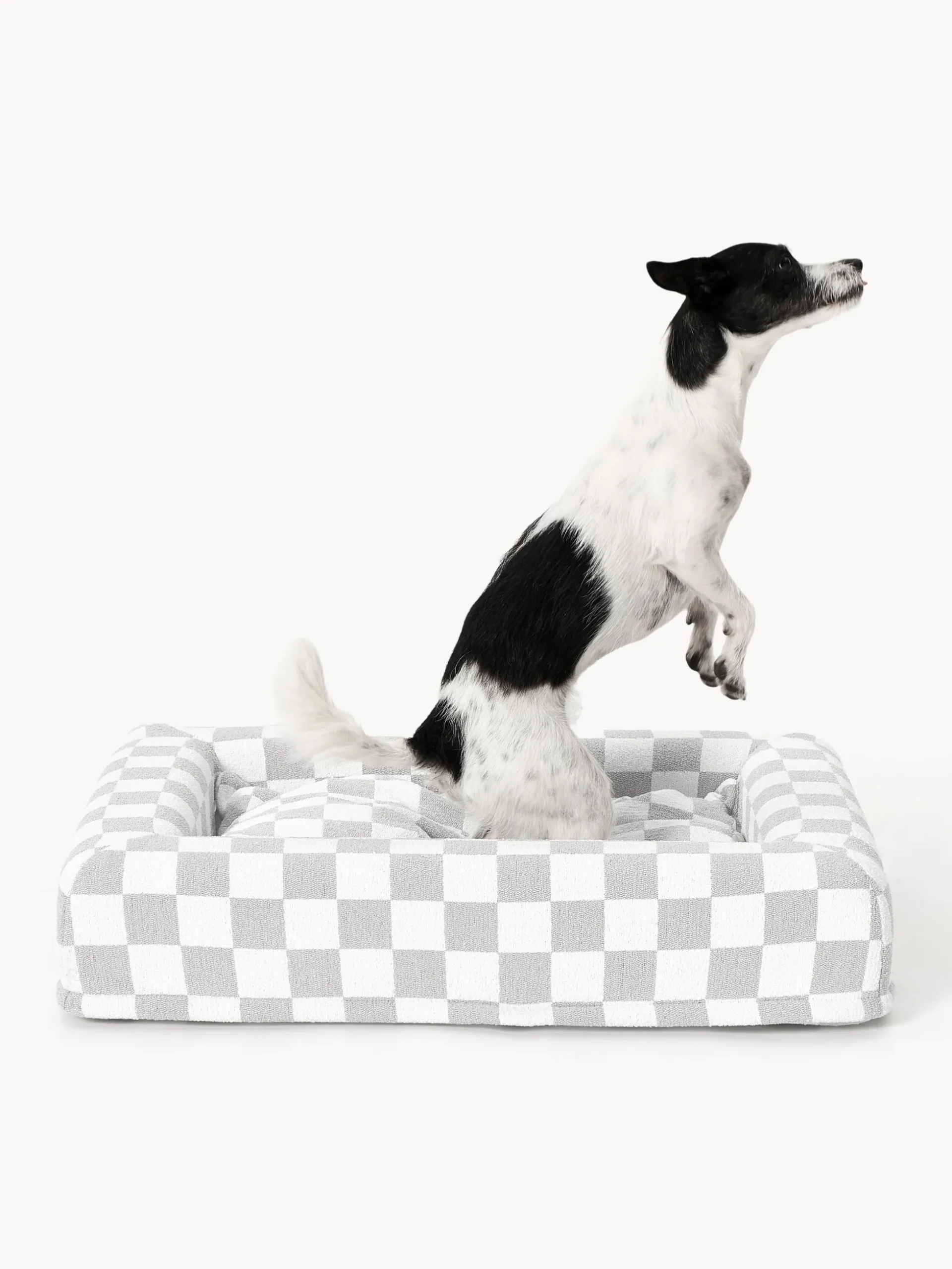 Westwing | Crosby Studios, Cuccia per cani Chien, varie misure